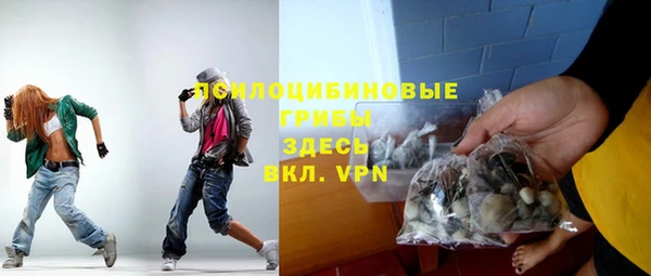 дурь Туринск
