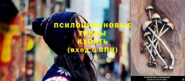 кристаллы Новозыбков