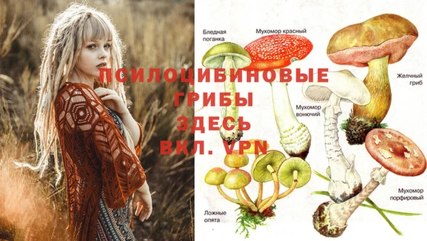 кристаллы Новозыбков