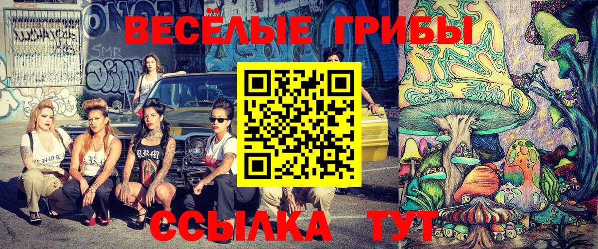 Череповец  Галлюциногенные грибы прущие грибы  Вход с VPN 